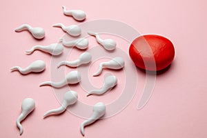 Active sperm cells swim to the egg on a pink background. The concept of pregnancy, fertilization of the egg