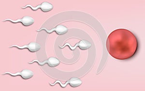 Active sperm cells swim to the egg on a pink background. The concept of pregnancy, fertilization of the egg. Vector illustration