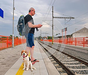 Active tourist with backpack using phone and waiting for train. Man and beagle dog waiting on railway station. Older