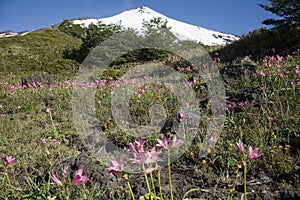 Active Villarrica volcano