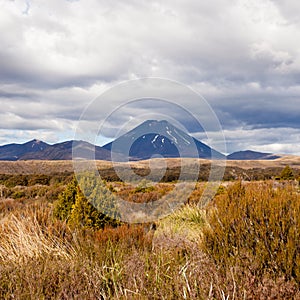 Active volcano Mount Ngauruhoe in Tongariro NP NZ