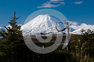 Active volcano under snow cup