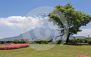 Active Vulcan Sakurajima covered by green Landscape. Taken from the wonderful Sengan-en Garden. Located in Kagoshima, Kyushu,