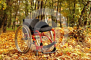 Active wheelchair in the park