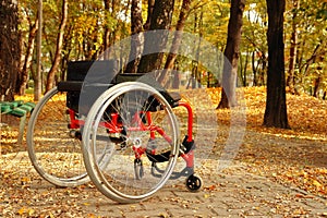 Active wheelchair in the park