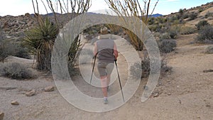 Active Woman With Trekking Sticks Hiking In The Mojave Desert Park Joshua Tree