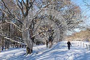 Active woman walking in a snowy forest