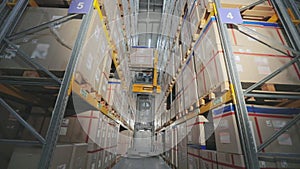 Active work in the factory, a large modern forklift in the warehouse