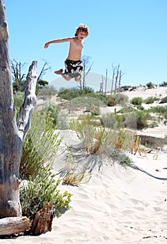 Active young boy leaping out of a tree