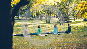 Active young people females are doing yoga practising sequence of asanas outdoors in park, women in group are wearing