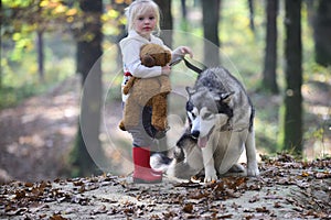 Activity and active rest. Child play with husky and teddy bear on fresh air outdoor. Little girl with dog in autumn