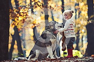 Activity and active rest. Red riding hood with wolf in fairy tale woods. Childhood, game and fun. Child play with husky