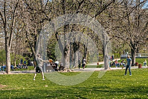 Activity in the park