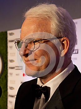 Celebrity Actor Comedian Steve Martin