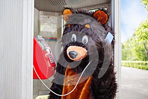 actor dressed as bear talks on red public photo