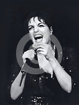 Liza Minnelli Performs at a Chicago Concert