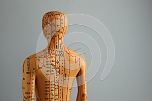 Acupuncture - alternative medicine. Human model with needles in shoulder against grey background, back view. Space for text