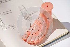 Acupuncture demonstration on foot model