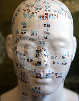 Acupuncture Facial Points