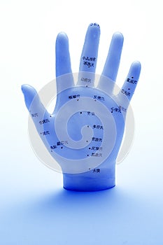 Acupuncture Hand Meridians Points