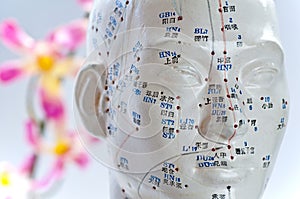 Acupuncture head model photo