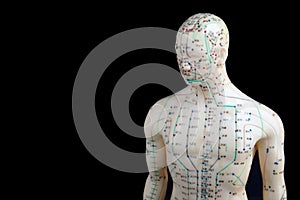 Acupuncture Model