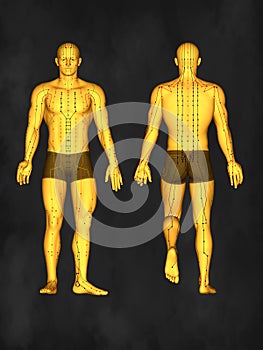 Acupuncture model, 3D illustration