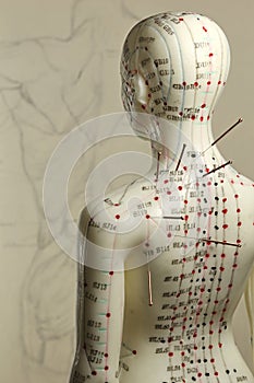 Acupuncture model photo