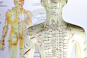 Acupuncture model photo