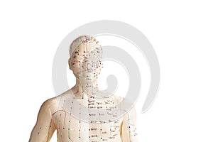 Acupuncture model of human