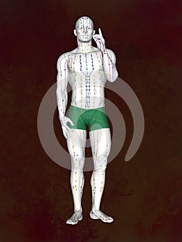 Acupuncture model M-POSE EHP-02-1, 3D illustration