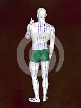 Acupuncture model M-POSE EHP-02-5, 3D illustration