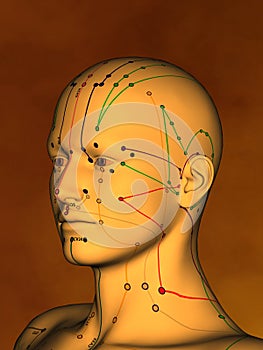 Acupuncture model M-POSE M4ay-06-9, 3D Model
