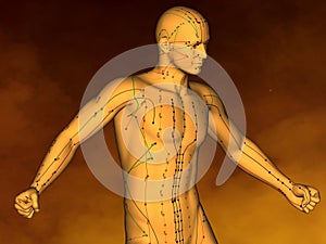 Acupuncture model M-POSE M4ay-06-4, 3D Model