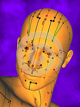 Acupuncture model M-POSE Ma-s-12-15, 3D Model photo