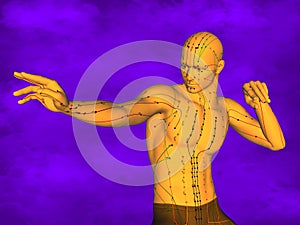Acupuncture model M-POSE Ma-s-12-1, 3D Model photo