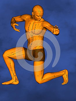 Acupuncture model M-POSE Ma-s-90-01 , 3D Model photo