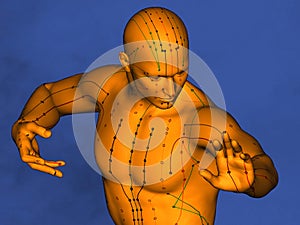 Acupuncture model M-POSE Ma-s-90-04 , 3D Model