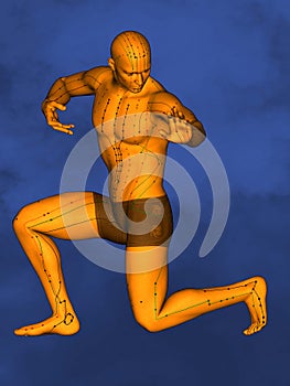 Acupuncture model M-POSE Ma-s-90-05 , 3D Model photo