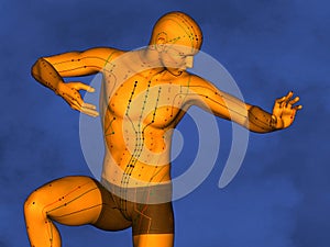 Acupuncture model M-POSE Ma-s-90-09 , 3D Model photo