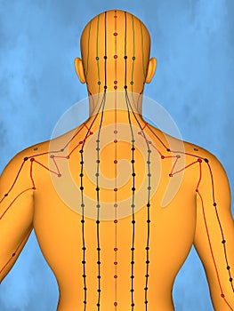 Acupuncture model M-POSE Mylie-01-8, 3D Model
