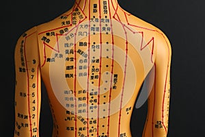 Acupuncture model. Mannequin with dots and lines on black background, back view