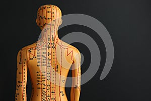 Acupuncture model. Mannequin with dots and lines on black background, back view. Space for text