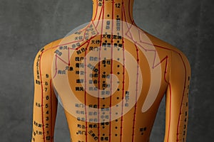 Acupuncture model. Mannequin with dots and lines on dark grey background, back view