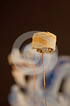 Acupuncture needle with moxa