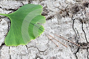 Acupuncture needles