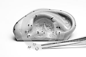 Acupuncture needles and ear model