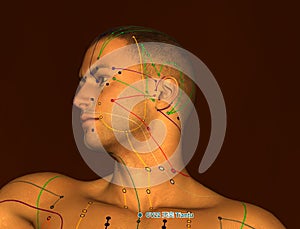 Acupuncture Point CV22 Tiantu, 3D Illustration, Brown Background