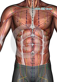 Acupuncture point CV22 Tiantu