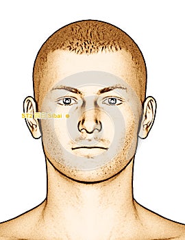 Acupuncture point Drawing ST2 Sibai